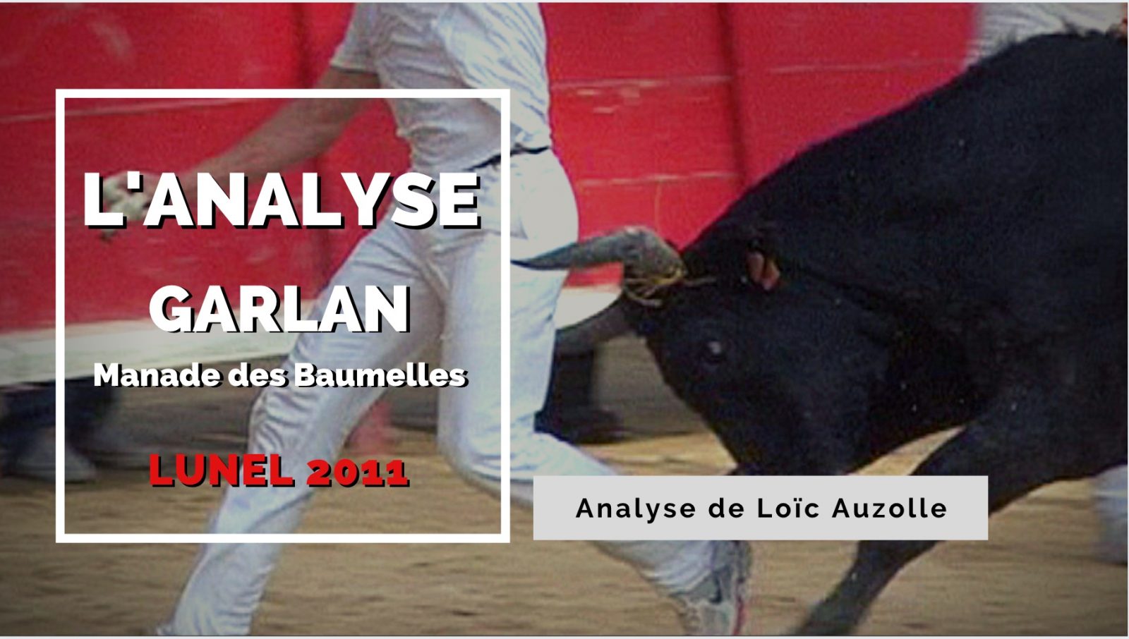 VIDEO // L’ANALYSE – Garlan (Manade des Baumelles) – LUNEL 2011 – AU FIL DES BARRIERES