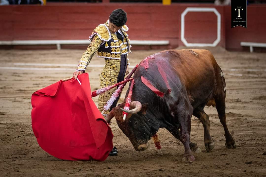 LIMA et GUADALAJARA (24/11/2019) – Les résumés des corridas