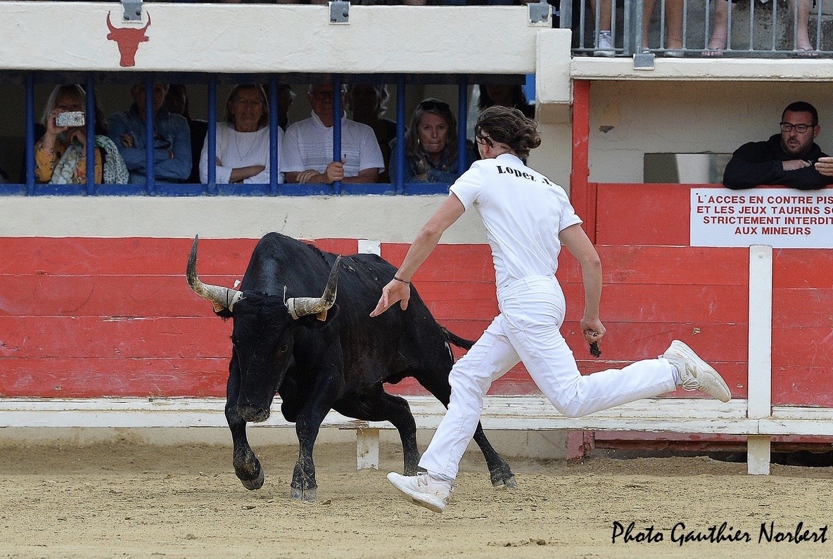 Focus Saison 2019 : Lucas Lopez