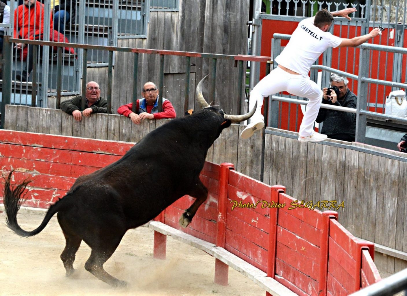 Focus Saison 2019 : Tristan Castell
