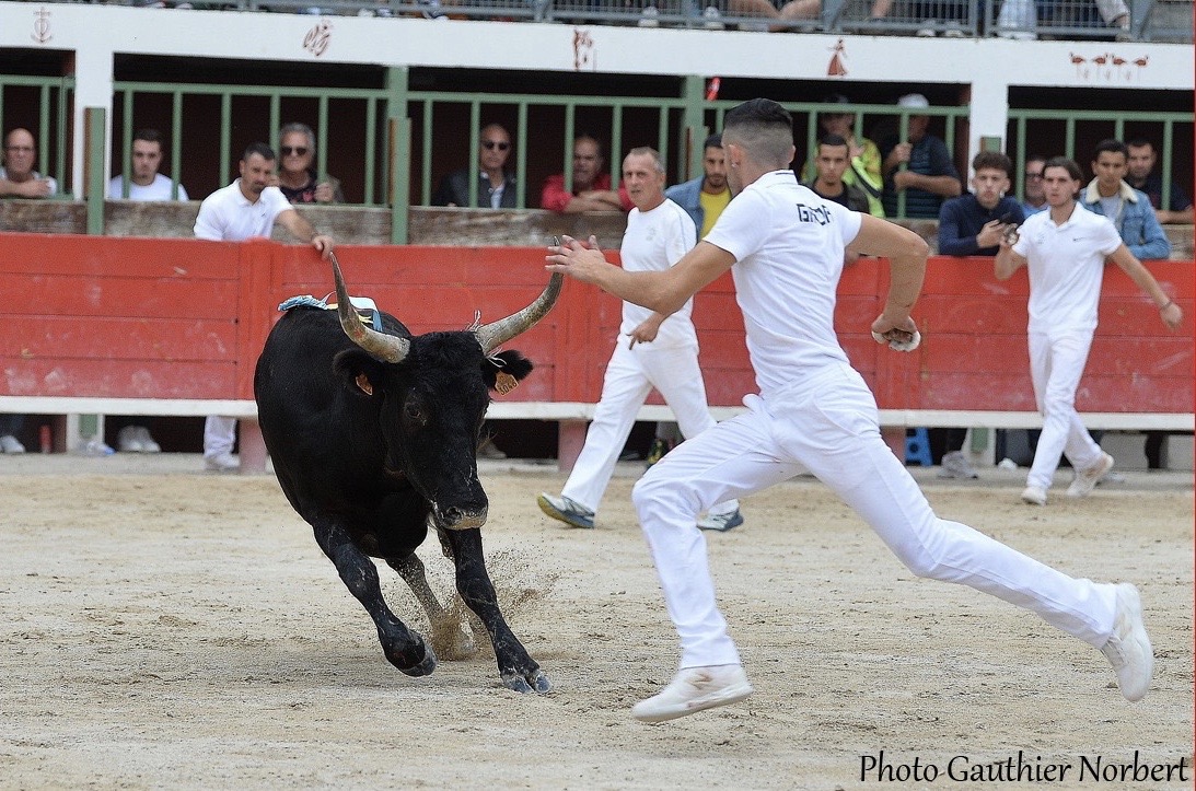 Focus Saison 2019 : Florentin Garcia