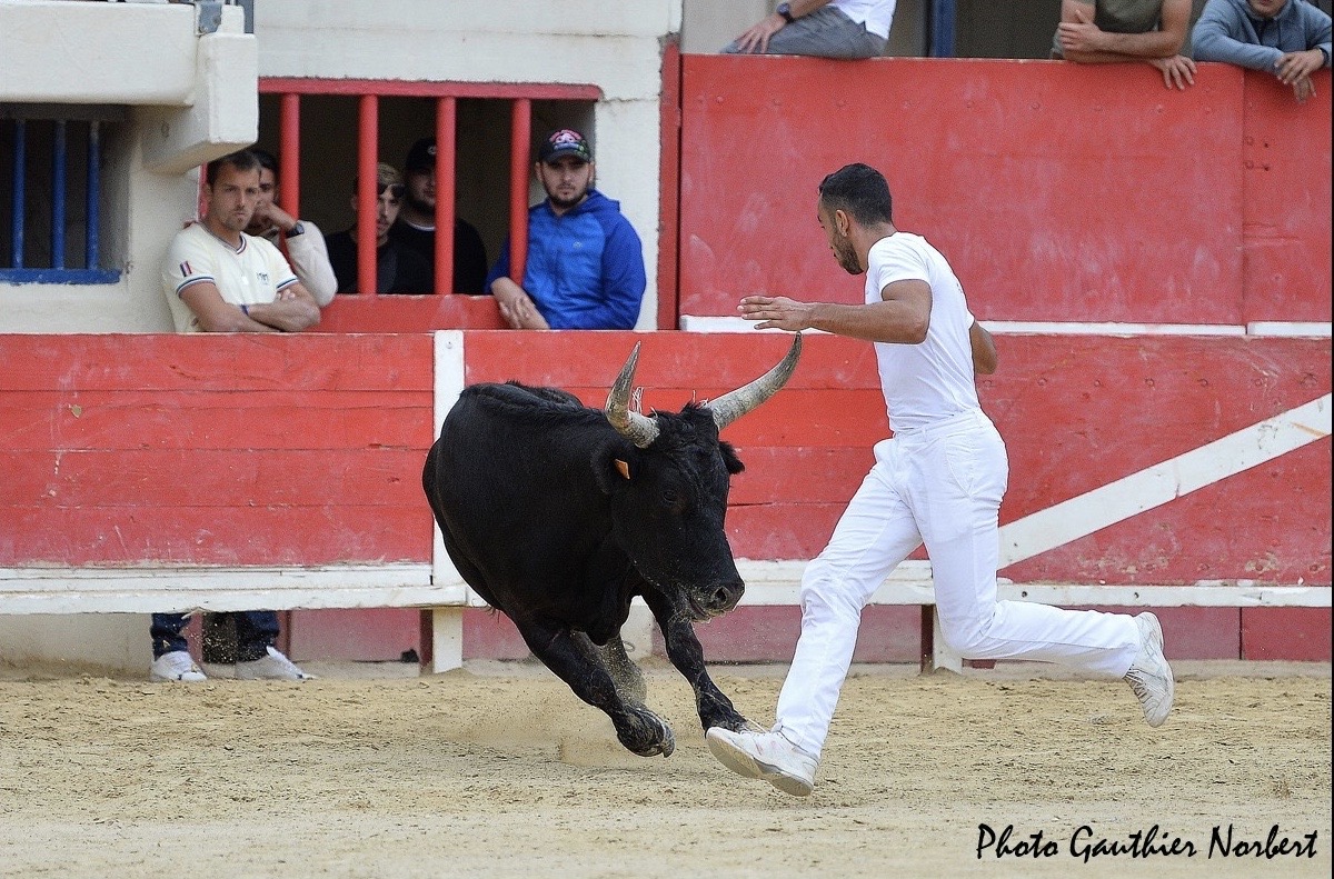 Focus Saison 2019 : Hugo Dunan