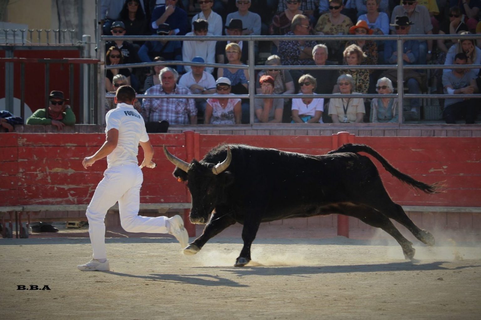 Focus Saison 2019 : Dimitri Fougere