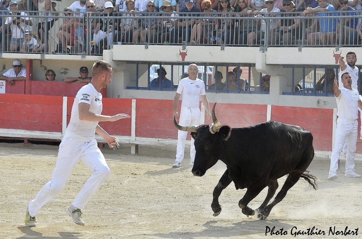 Focus Saison 2019 : Alexis Brunel