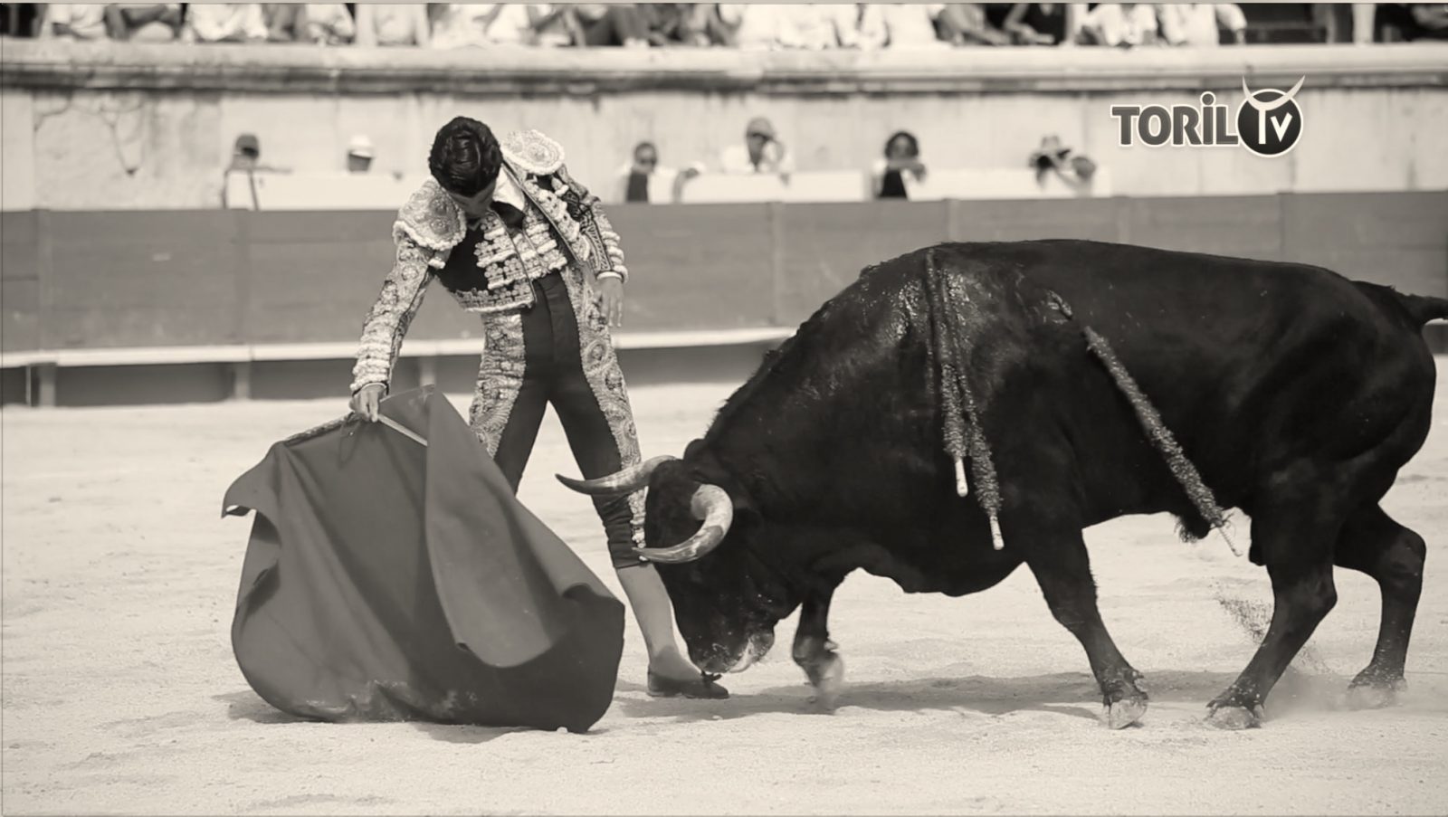 LA CORRIDA LONG FORMAT – Faenas complètes de PABLO AGUADO – NIMES (15/09/2019)