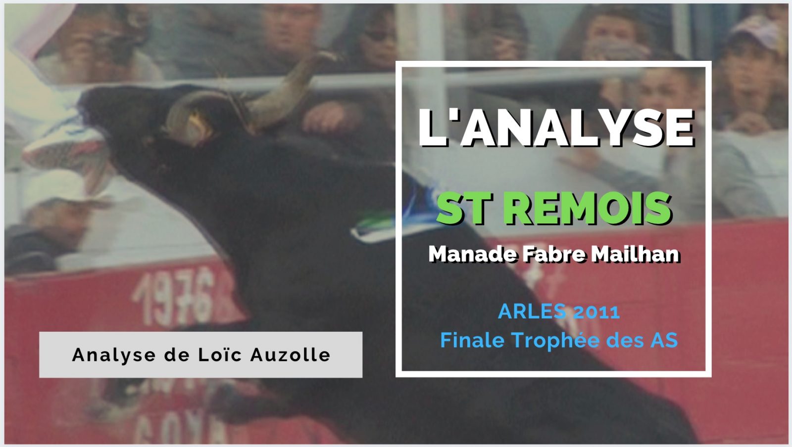 L’ANALYSE – St Remois (Manade Fabre Mailhan) – Arles 2011 – VIDEO