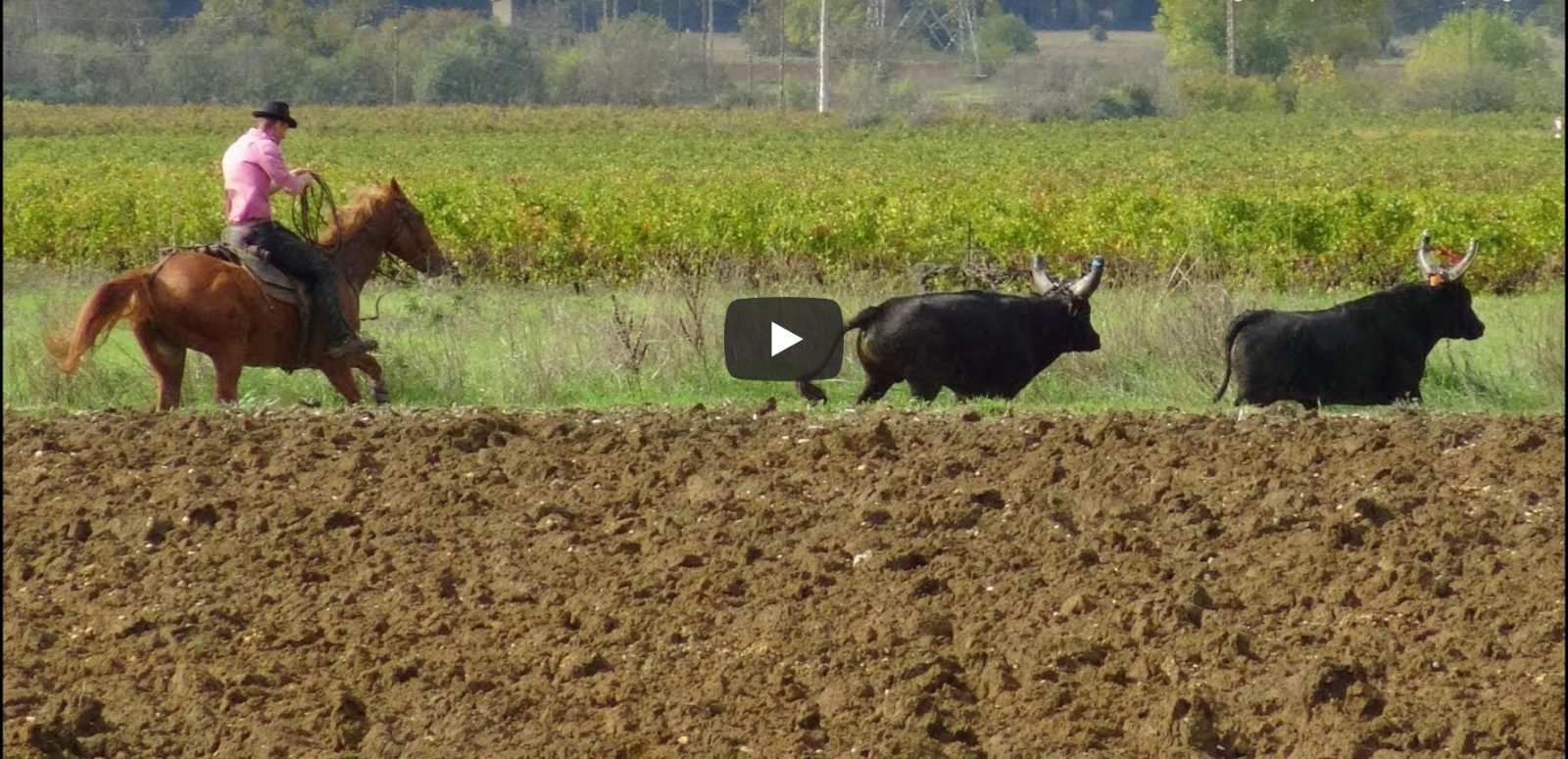 AUBARNE (02/11/2019) – Retour en vidéo sur la BANDIDO PARCOURS OUVERT