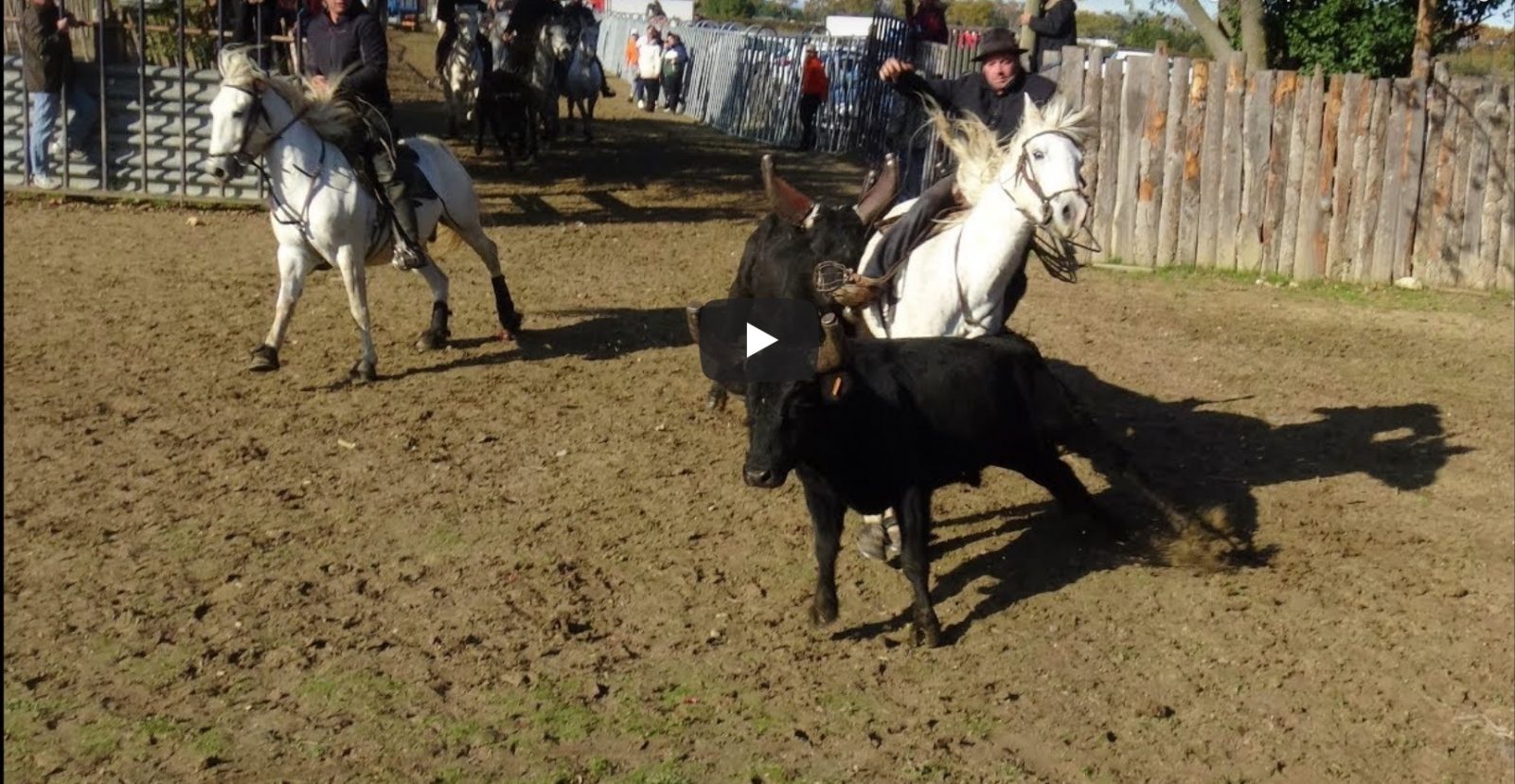 CODOGNAN (17/11/2019) – Retour en vidéo sur le FESTIVAL D’ENTRAINEMENT DE BANDIDO