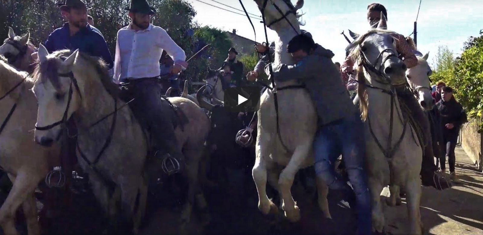 GALLARGUES (09, 10 et 11/11/2019) – Retour en vidéo sur la fête