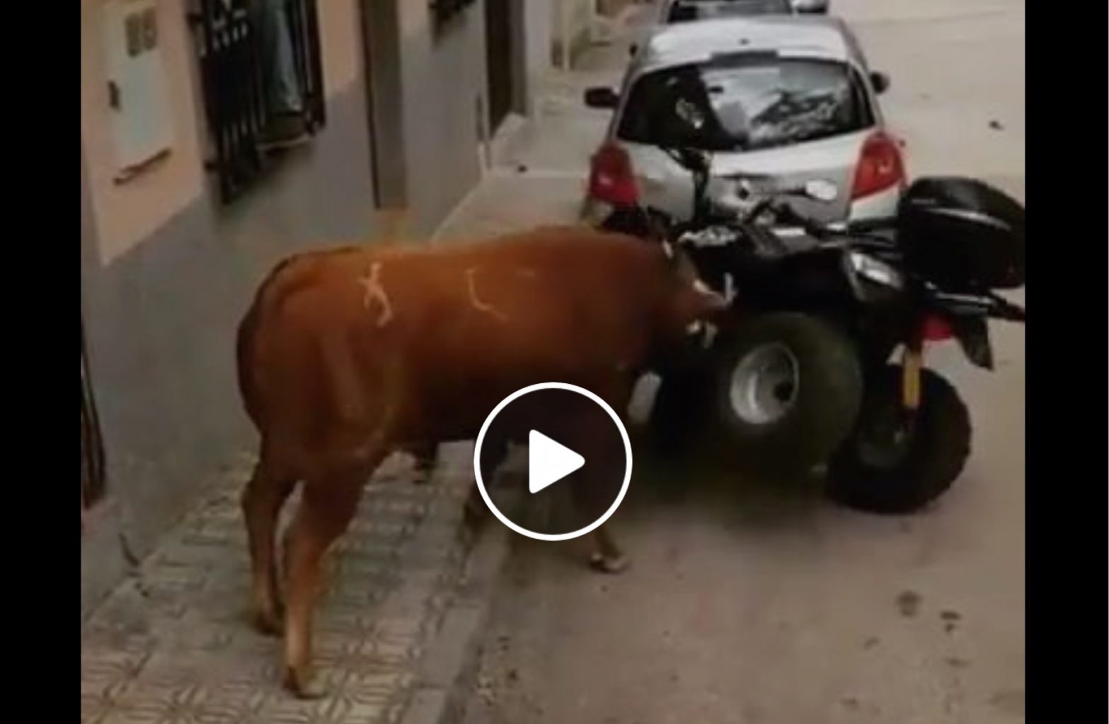 VIDEO DU NET // Quand tu veux faire marcher l’assurance de ton quad – VIDEO