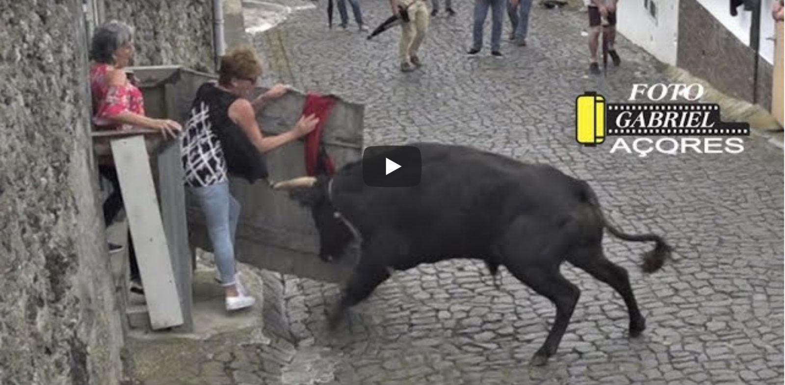 VIDEO DU NET // TOURADA Feteira Mercês – Ilha Terceira Açores