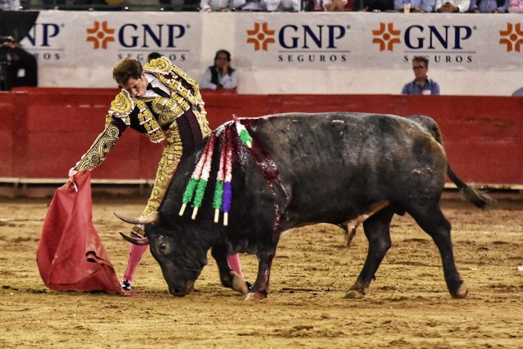 Guadalajara (01/12/2019) – L’unique oreille de la tarde pour Saldivar