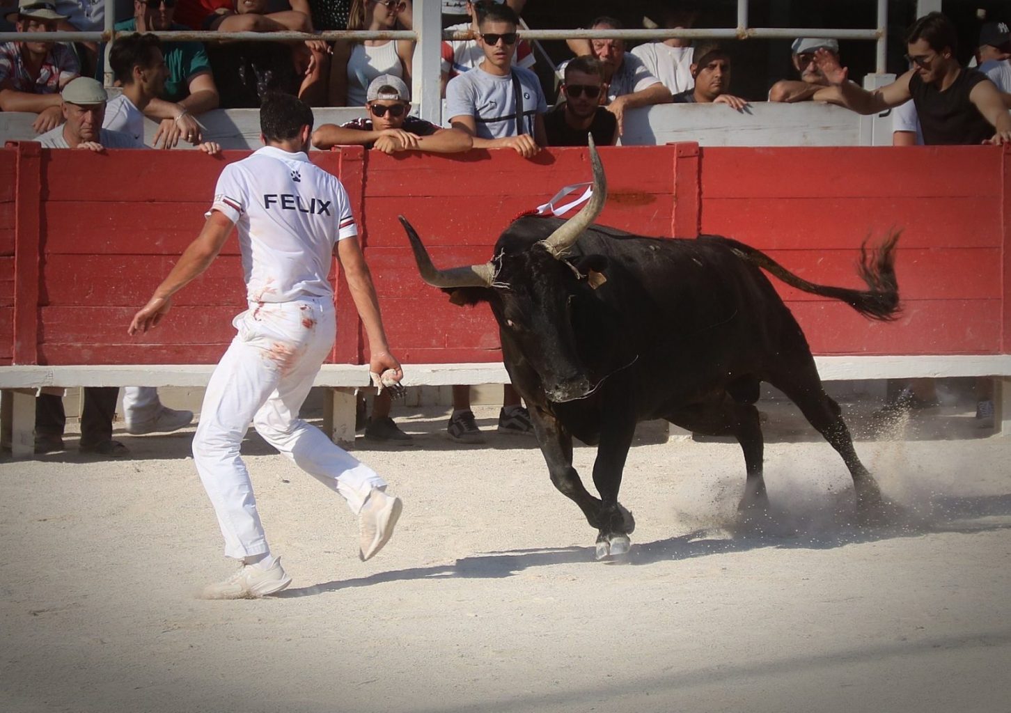 Focus Saison 2019 : Vincent Felix
