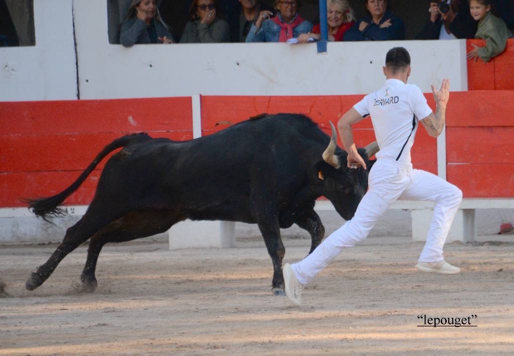 Focus Saison 2019 : Enzo Bernard