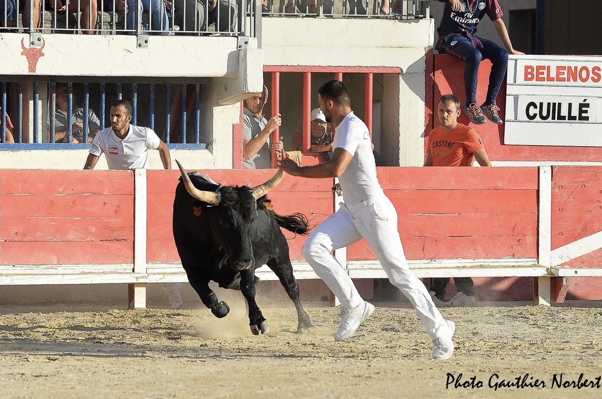 Focus Saison 2019 : Antoine Charrade