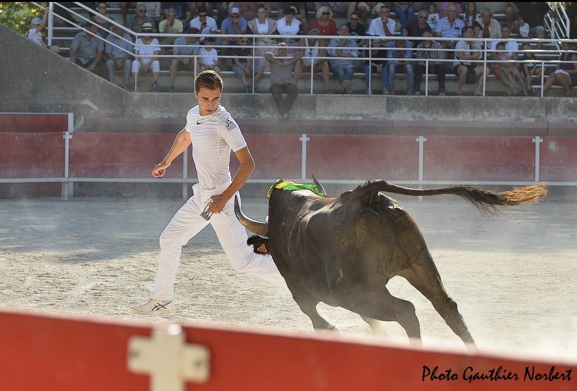 Focus Saison 2019 : Lucas Danna