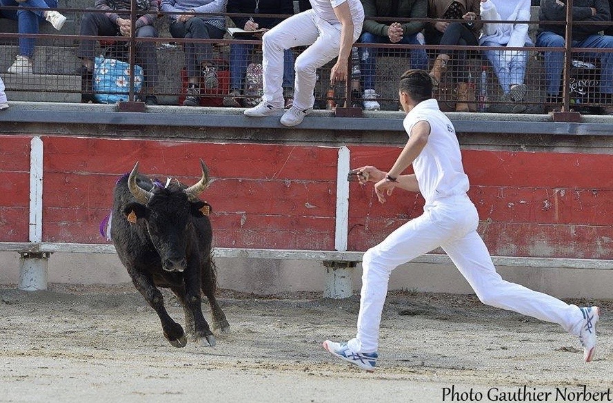 Focus Saison 2019 : Belka Benhammou