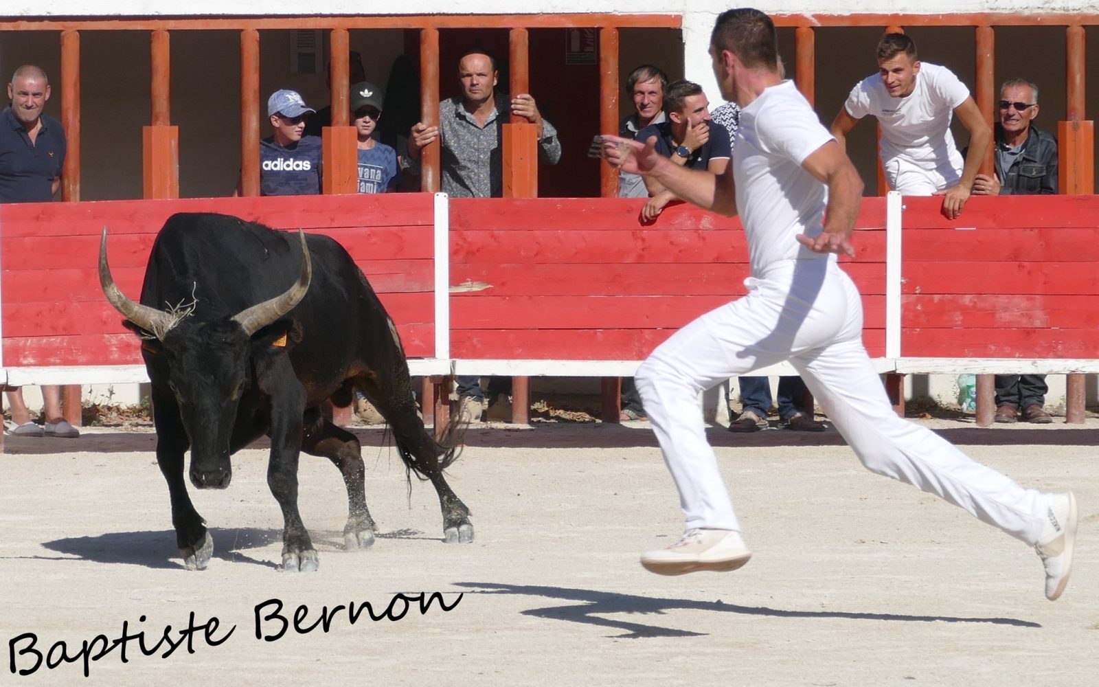 Focus Saison 2019 : Ludovic Bressy
