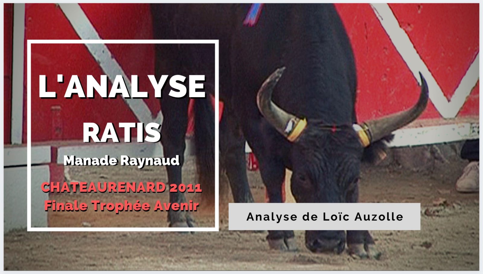 VIDEO // L’ANALYSE – RATIS (Manade Raynaud) – CHATEAURENARD Finale Avenir 2011 – AU FIL DES BARRIERES