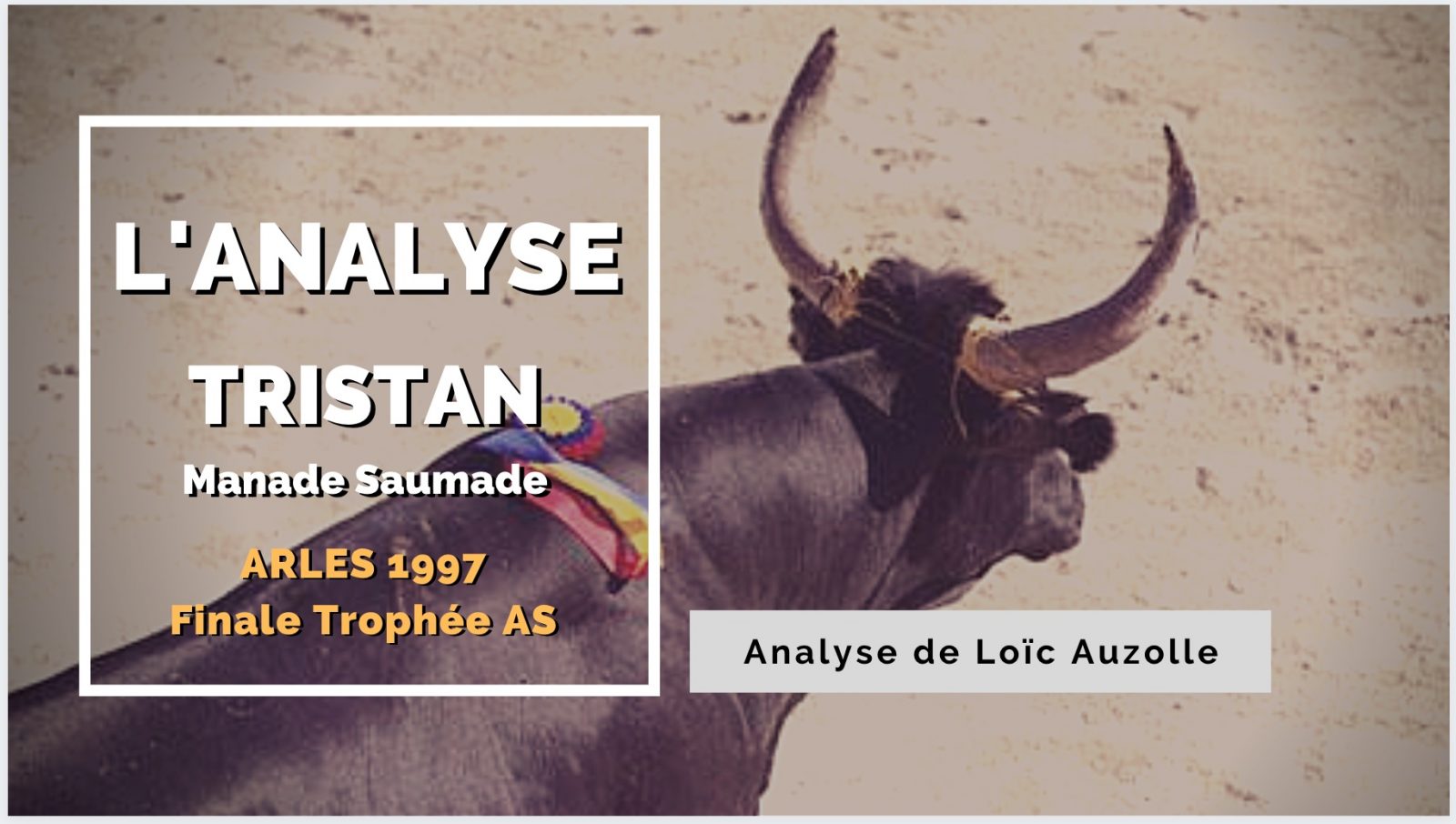 L’ANALYSE – Tristan (Manade Saumade) – Arles 1997 – AU FIL DES BARRIERES
