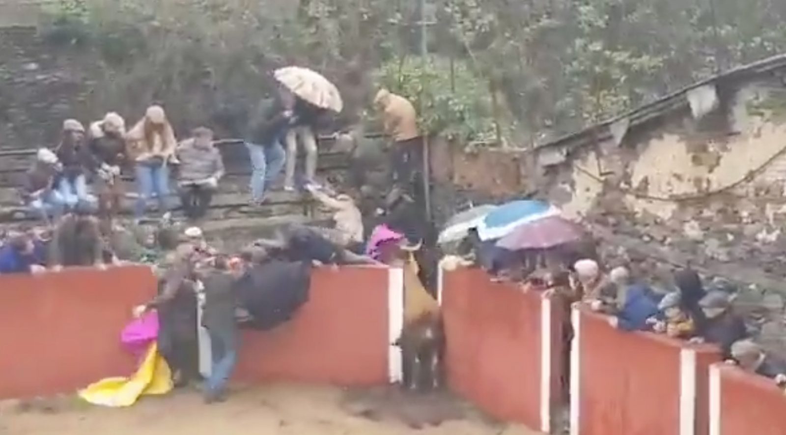 VIDEO // Un toro sème la panique derrière les burladeros