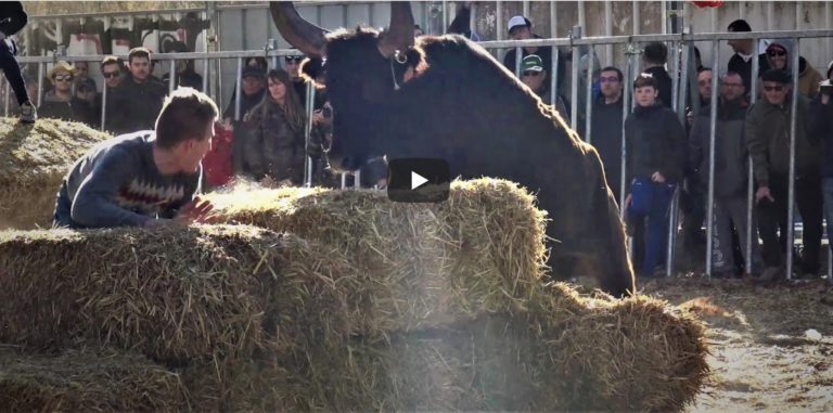SOMMIERES (05/01/2020) – Retour en vidéo sur la FINALE COURSE AU PLAN