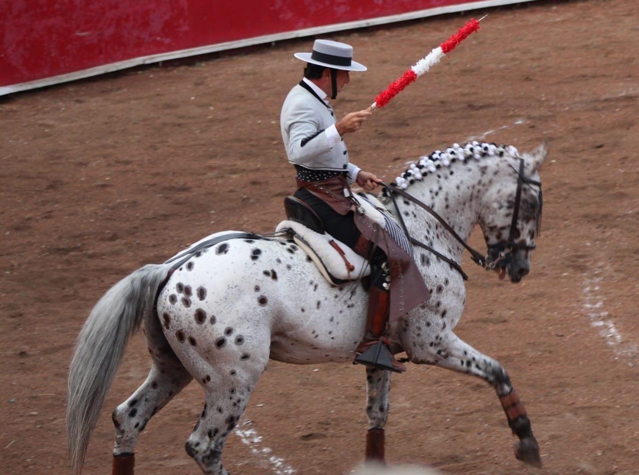 DEP “Picasso”