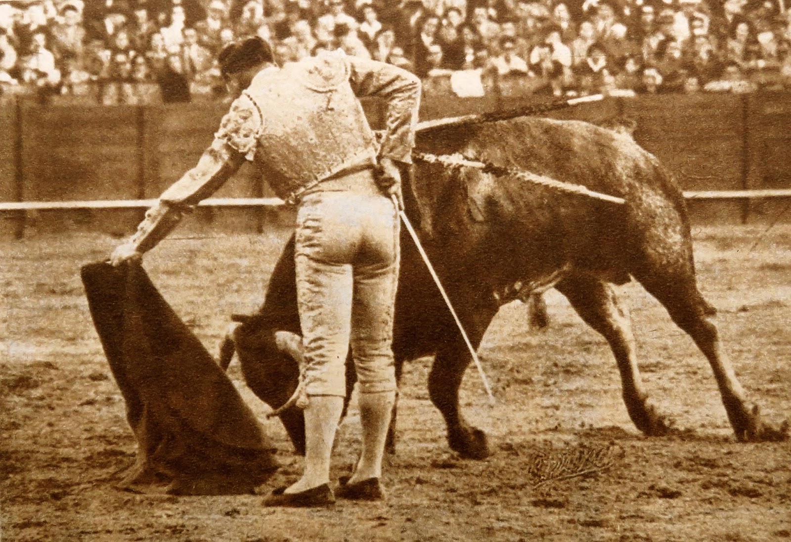SEVILLE 1956 – La faena historique de Rafael Ortega a “Tormenta” de Miura