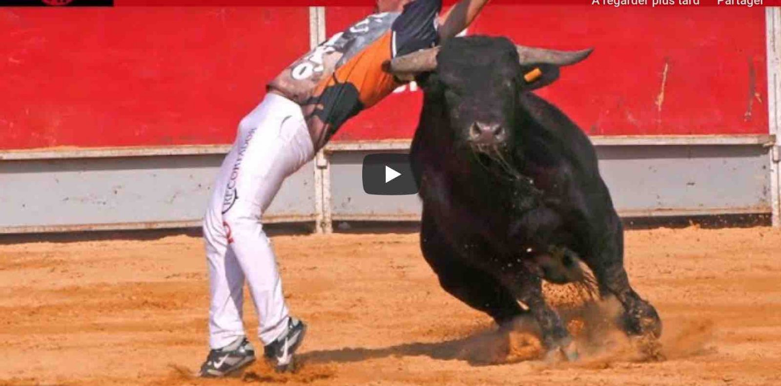 III Edición LA CAPITAL DEL TORO 2020 – LA VALL D´UIXÓ – Recortadores