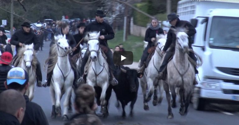 VALERGUES (08/02/2020) – Retour en vidéo sur le FESTIVAL DE BANDIDO