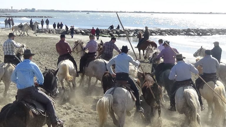 VIDEO // Abrivado des plages Grau du Roi (07/03/2020) – Retour en vidéo