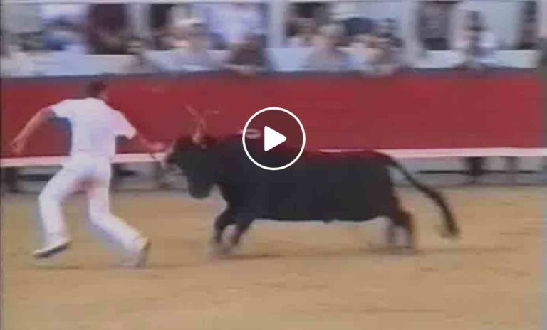 LA COURSE LONG FORMAT – Arles 14 Octobre 2001 – 50ème Finale du Trophée des As