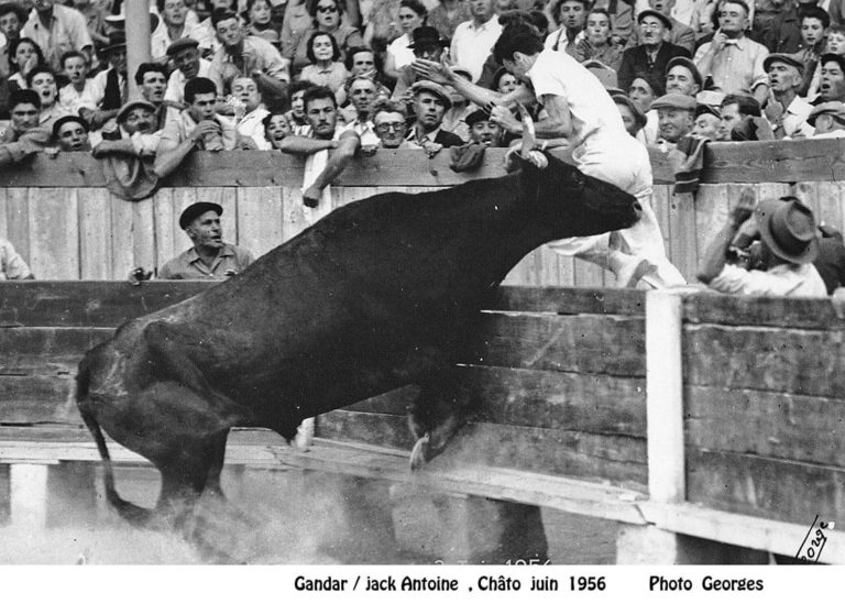 Gandar la célébrité de vauvert