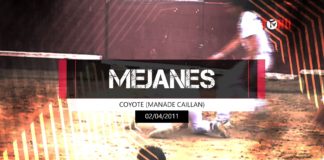 Coyote (Manade Caillan) - Méjanes 02 avril 2011