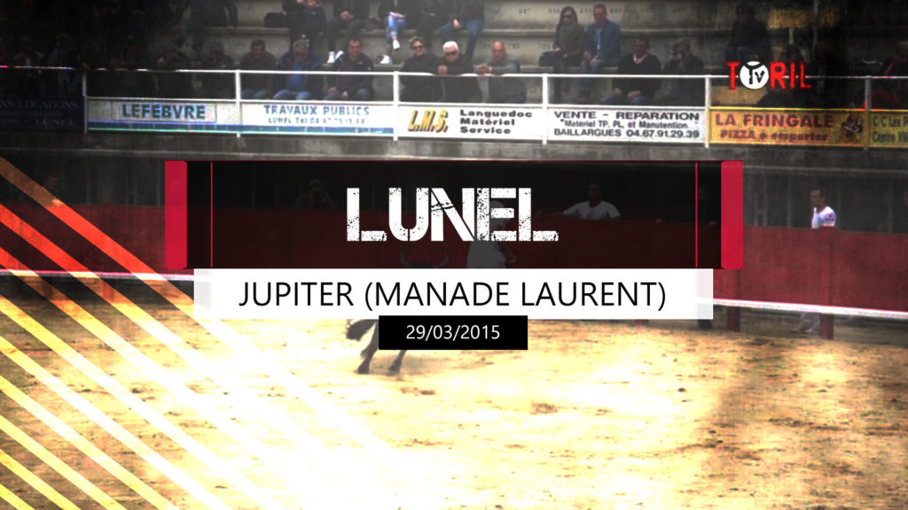 Jupiter (Manade Laurent) - Lunel 29 mars 2015