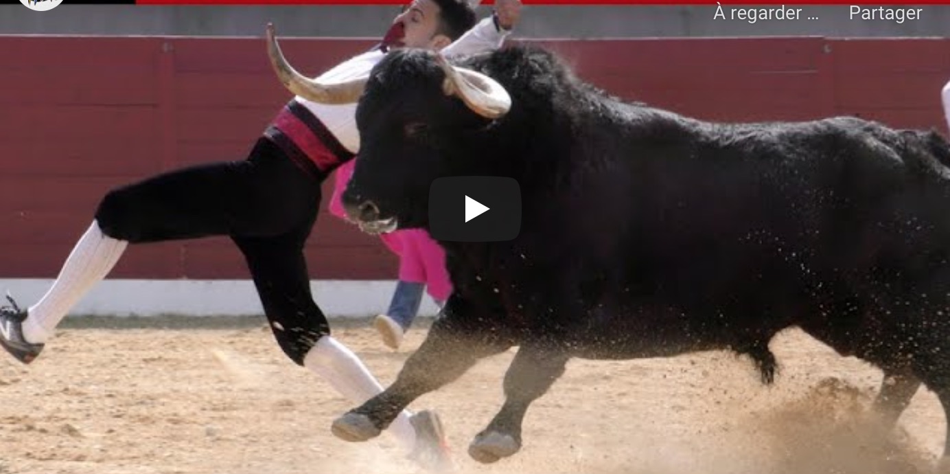 recortadores-temporada-2021