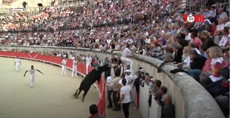 Greco Manade Saint Antoine