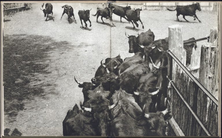 Il y a 101 ans...