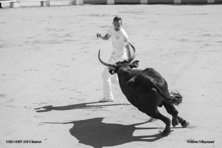 JEREMY ALIAGA