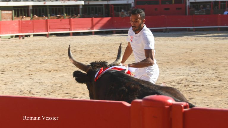 YOUSSEF ZEKRAOUI