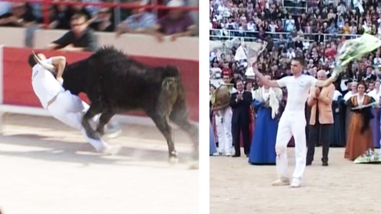 2 courses camarguaises en 