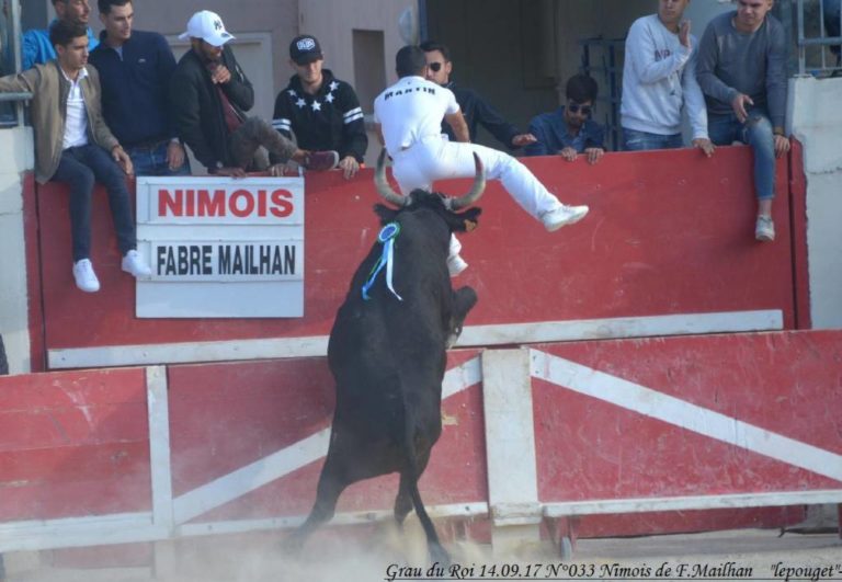 NIMOIS fierté de la manade Mailhan