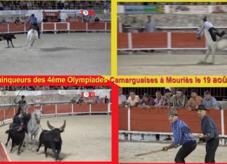 Olive Abrivado et Olympiades - Mouries