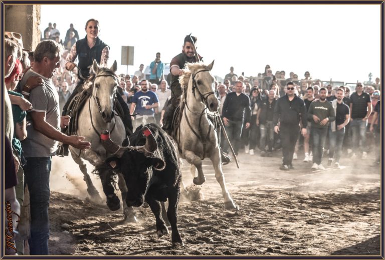 Fête Votive d Aigues Mortes 2021