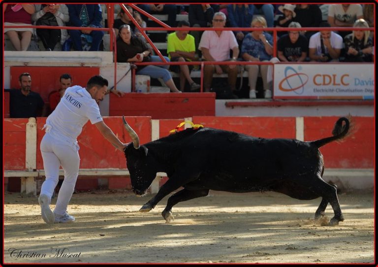 Fin de saison pour Boris Sanchis