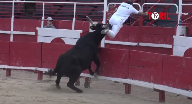 Course Camarguaise Anciens Raseteurs