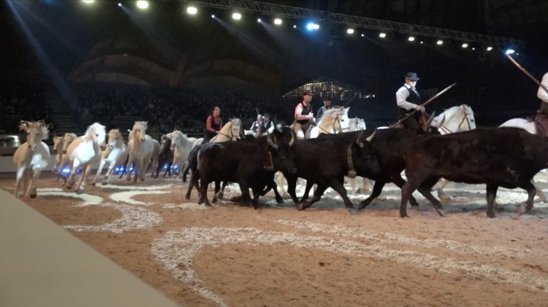 Cheval Passion Avignon 2022