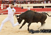 Les résumés des courses du weekend