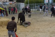 MEYNES la course au plan