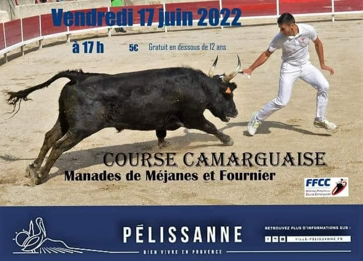 Calendrier 2024 Course Camarguaise Latest Perfect Awasome Review of